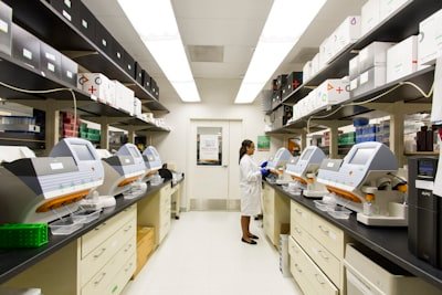 Antibodies