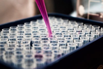 Cell Culture Media